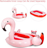Floating Flamingo
