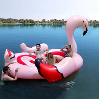 Floating Flamingo